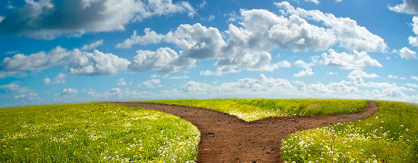Roads Diverge
